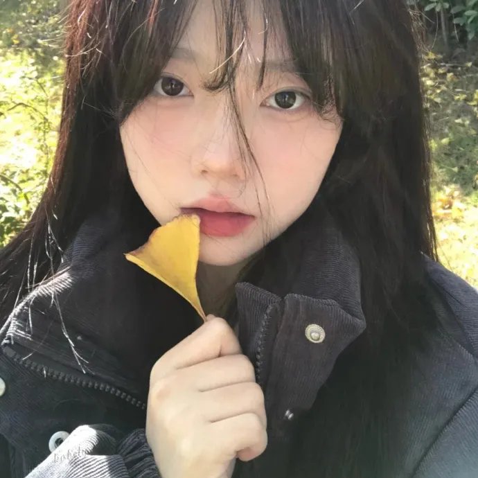 蓝色多瑙河海报