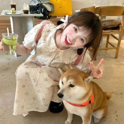 精致晚宴海报